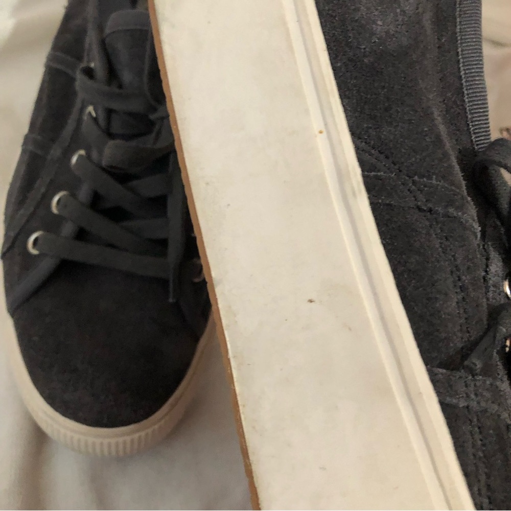 Steve Madden Gray Suede Sneakers - Picture 10 of 15